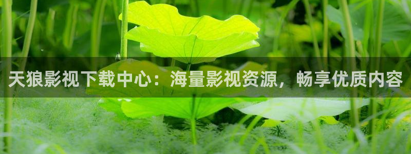 秋霞电影网理伦：天狼影视下载中心：海量影视资源，畅享优质内容