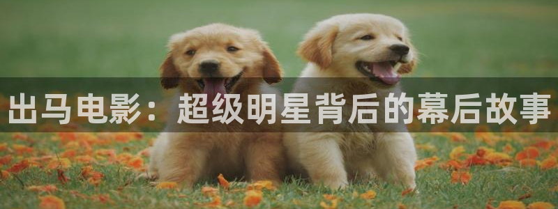 秋霞在线论坛：出马电影：超级明星背后的幕后故事