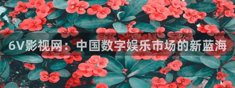 秋霞影院中文字幕在线观看：6V影视网：中国数字娱乐市场的新蓝海