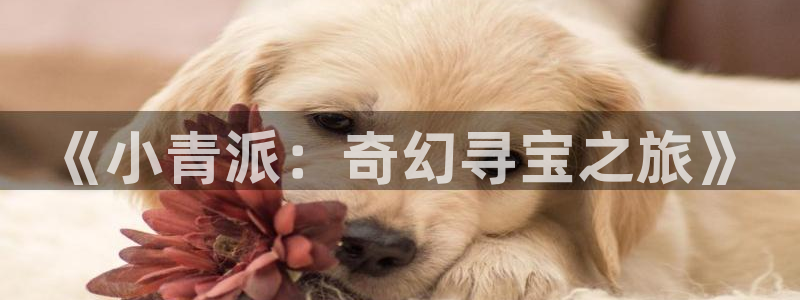 秋霞免费电影：《小青派：奇幻寻宝之旅》