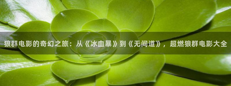 秋霞论理片：狼群电影的奇幻之旅：从《冰血暴》到《无间道》，超燃狼群电影大全