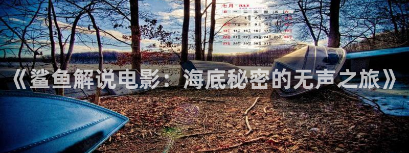 秋霞电影网限制级