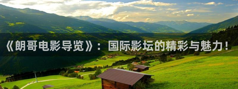 秋霞老电影网