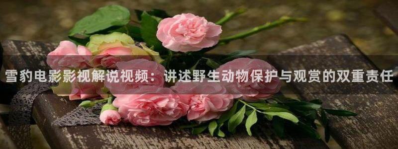 秋霞好电影