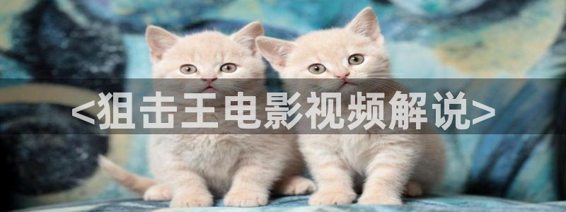 秋霞网伦理网