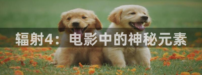 看秋霞