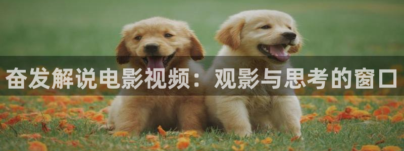秋霞影院午夜电影