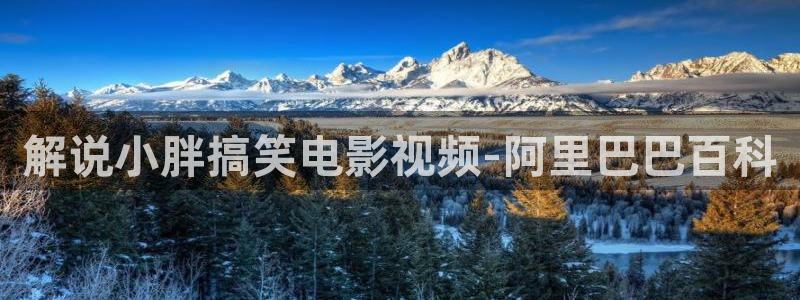 秋霞理论神马电影网