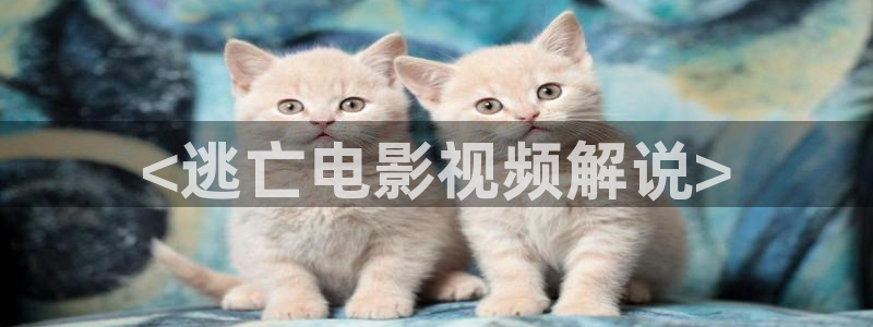 秋霞伦理网电影