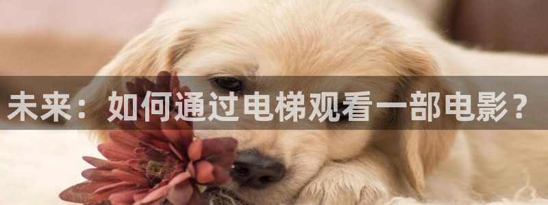 手机秋霞看片