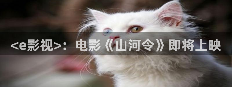 秋霞电影手机免费版在线观看秋霞电影