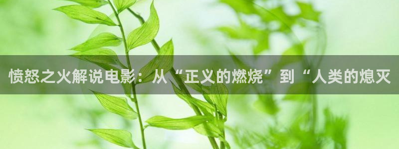 韩国秋霞神马影院
