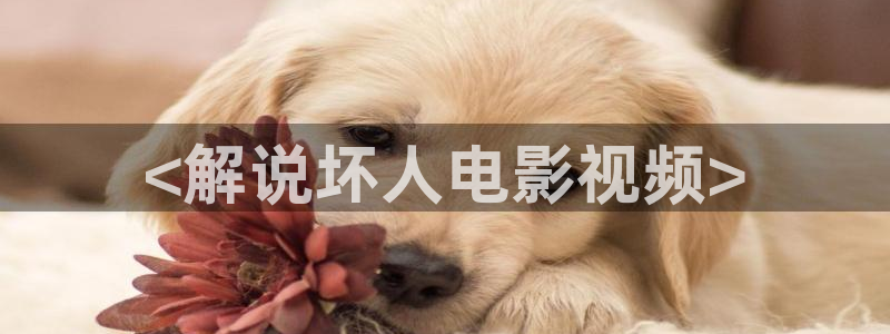 秋霞网亚洲
