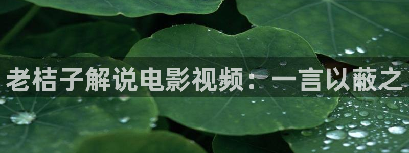 秋霞电影高清完整版秋