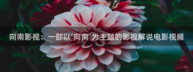 秋霞电影软件