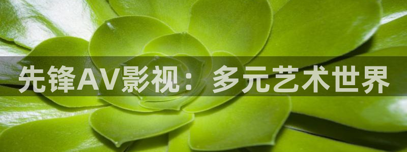 新秋霞韩国免费电影