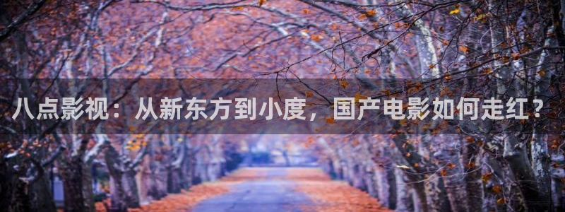 秋霞电影网在线观看免费