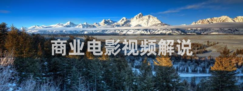 秋霞影视在线看一级