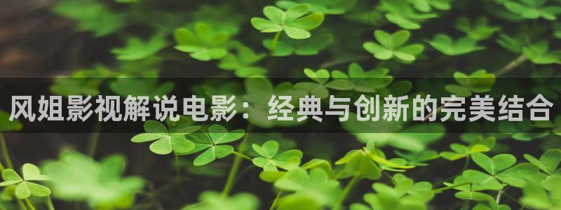 秋霞手机在线看片