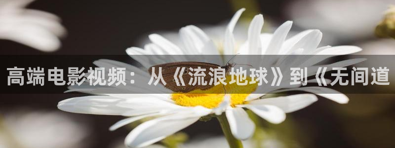 秋霞电影网在线观看伦理片