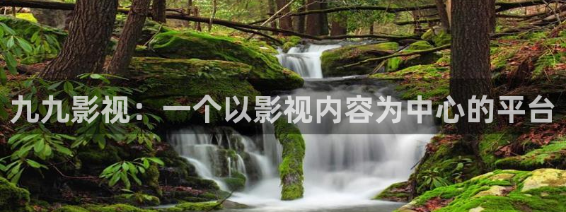秋霞网秋霞网