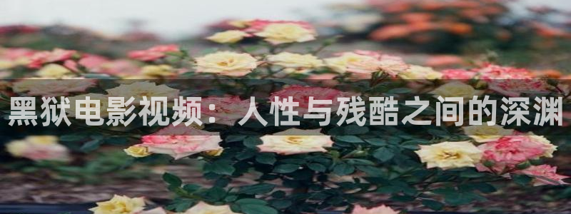 秋霞电影网app下载