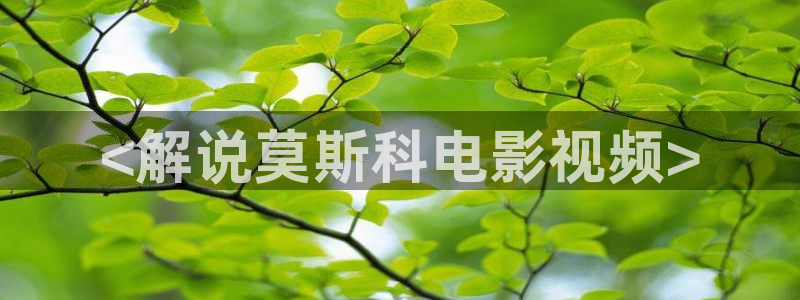 秋霞网在线免费观看
