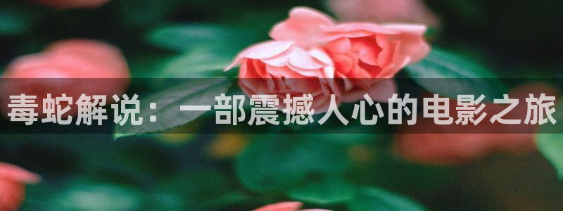 新秋霞韩国免费电影