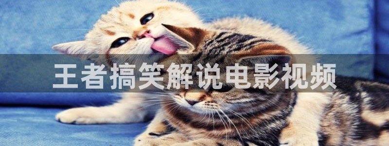 久久久久久秋霞网理论片