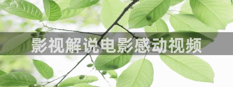 土鳖秋霞影视：影视解说电影感动视频