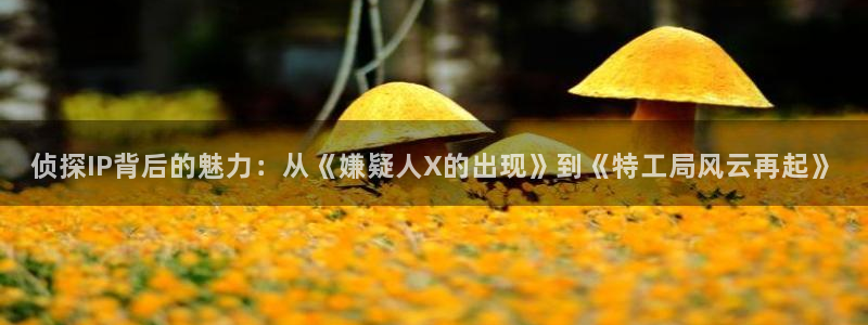 秋霞影院理伦