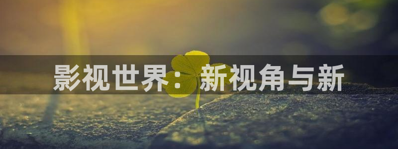 秋霞62伦理片