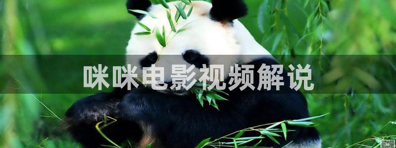 秋霞网乱码