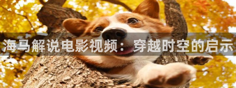 秋霞电影院影视先锋在线观看