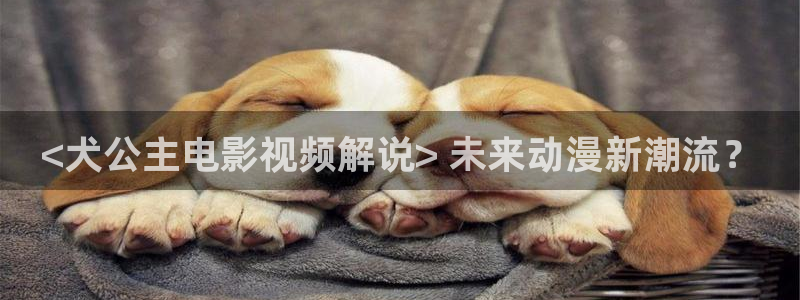 秋霞电影韩国理论在线观看