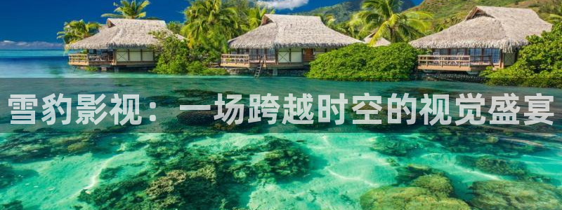 秋霞论坛