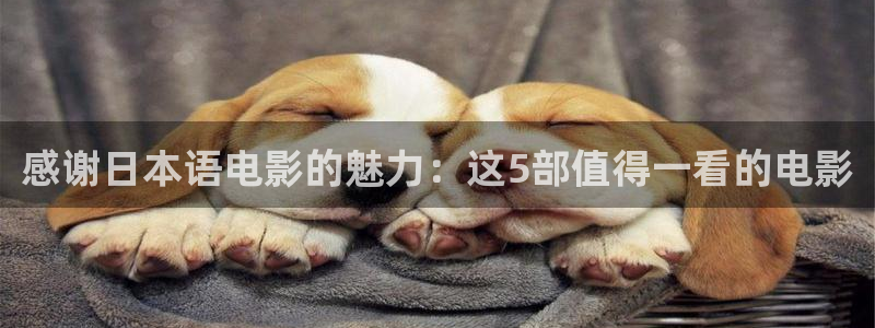 秋霞福利电影网