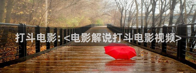 秋霞神马电影神马电影神马电影网