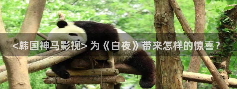 秋霞影院2023